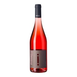 Rosé Wine Primitivo IGT Puglia - Intini - 750ml