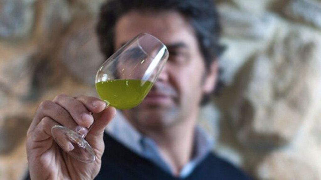 A man performs a colour analysis of olive oil